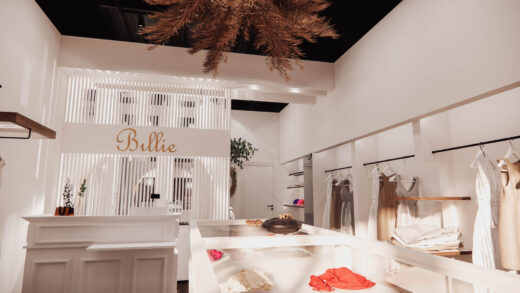 Projet Billie