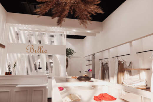 Projet Billie