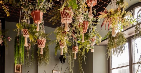 Restaurant à l'ambiance chaleureuse avec plafond végétalisé suspendu, banquettes confortables et décoration naturelle. Un exemple d'aménagement intérieur alliant identité, confort et expérience client